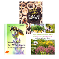 Insektenhotels & Wildbienen