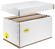 SIPA® Ableger- und Transport-Box 6 W Dadant US