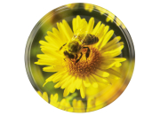 82er TO Deckel ApiSina® Biene auf Blüte gelb