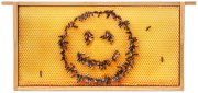 SIPA® Bilder-Rähmchen "Bienen-Smiley"