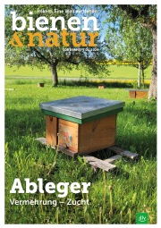 Bienen & Natur Sonderheft: Ableger