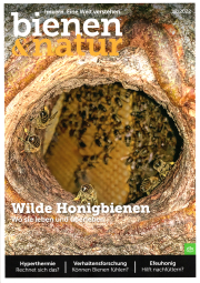 Bienen & Natur Sonderheft: Wilde Honigbienen