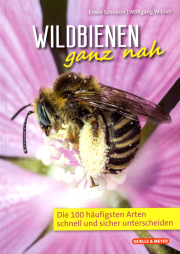 Wildbienen ganz nah / Erwin Scheuch & Wolfgang Willner, Cover