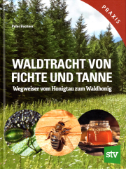 Waldtracht von Fichte und Tanne / Peter Buchner