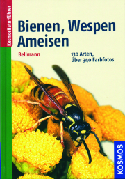 Bienen, Wespen, Ameisen / Heiko Bellmann