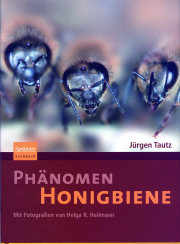 Phänomen Honigbiene / Jürgen Tautz, Cover