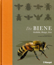 Die Biene – Geschichte, Biologie, Arten / Noah Wilson-Rich