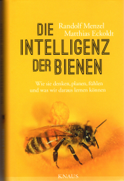 Die Intelligenz der Bienen / Randolf Menzel & Matthias Eckoldt