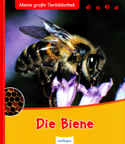 Die Biene – Meine große Tierbibliothek / Valérie Tracqui