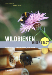 Wildbienen in der Stadt / Janina Voskuhl & Herbert Zucchi