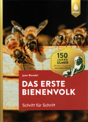 Das erste Bienenvolk – Schritt für Schritt / Jean Riondet